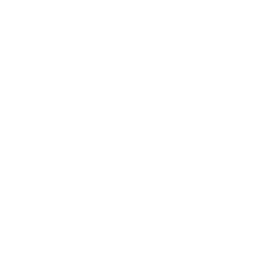 Dente - Microdent